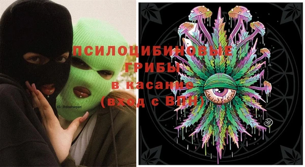PSILOCYBIN Остров