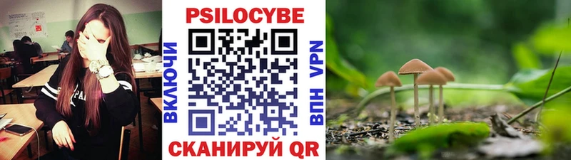 Галлюциногенные грибы прущие грибы Апатиты